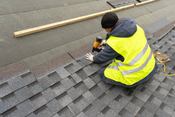 Best Shingle Roofing Installation  in Three Oaks, FL