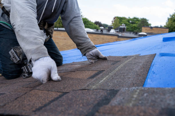 Best New Roof Installation  in Three Oaks, FL